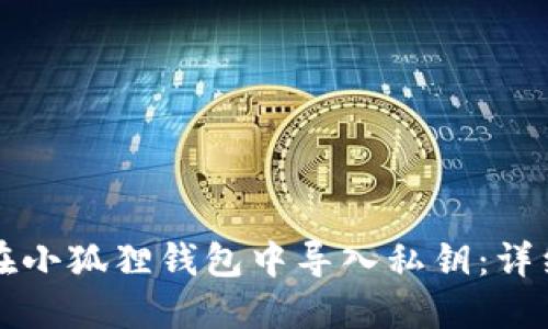 如何在小狐狸钱包中导入私钥：详细指南